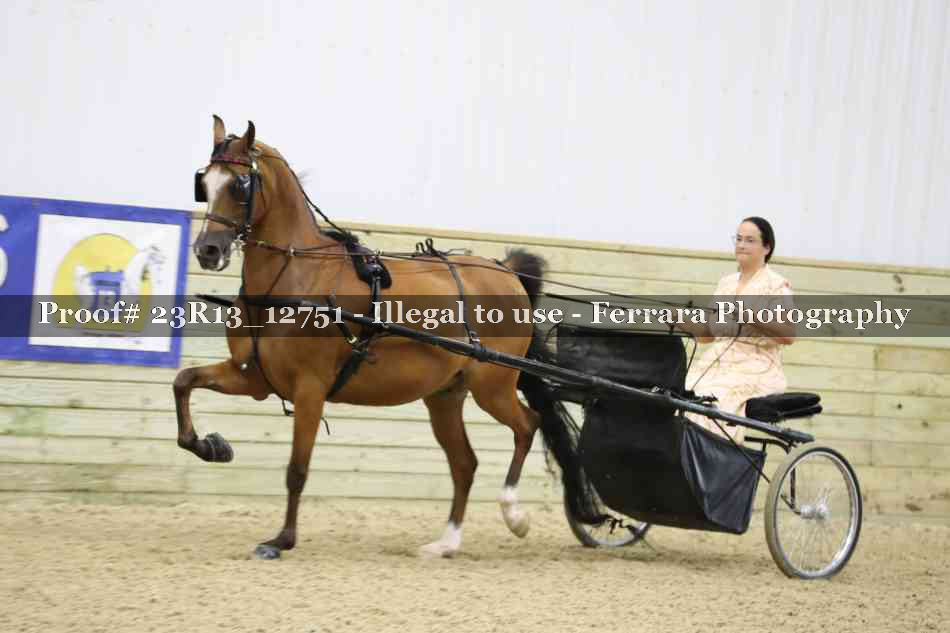 Proof Number 23R13_12751