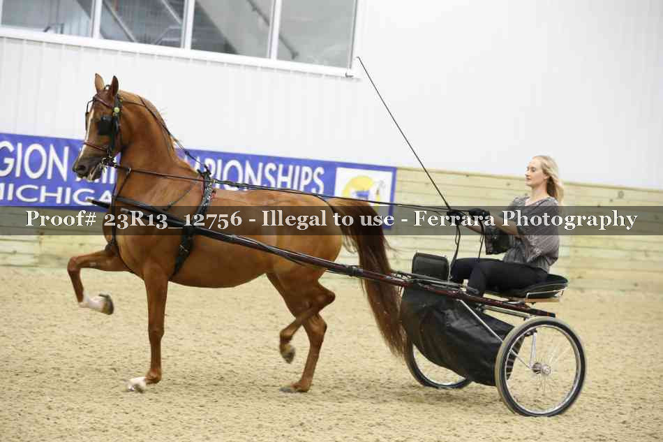 Proof Number 23R13_12756