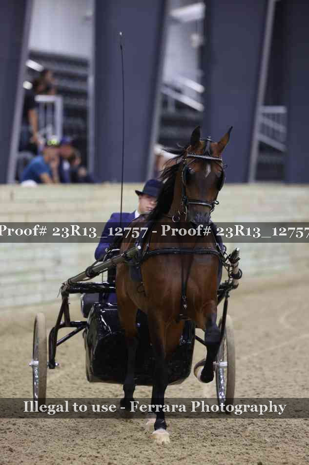 Proof Number 23R13_12757