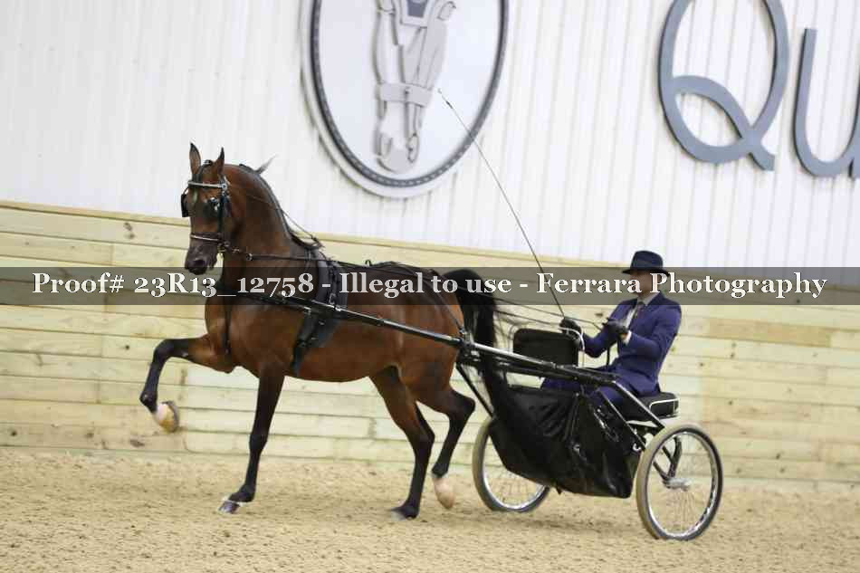 Proof Number 23R13_12758