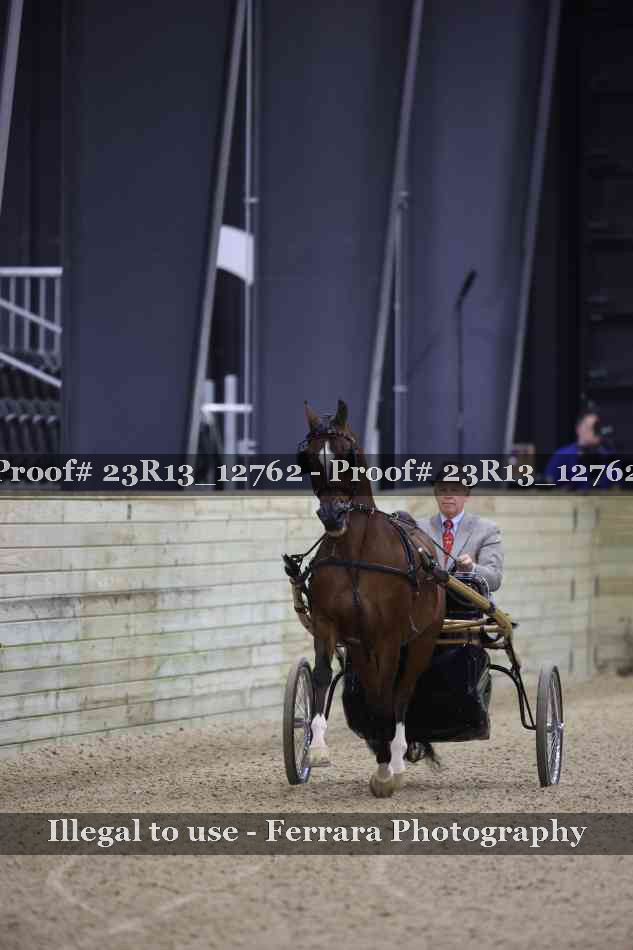 Proof Number 23R13_12762