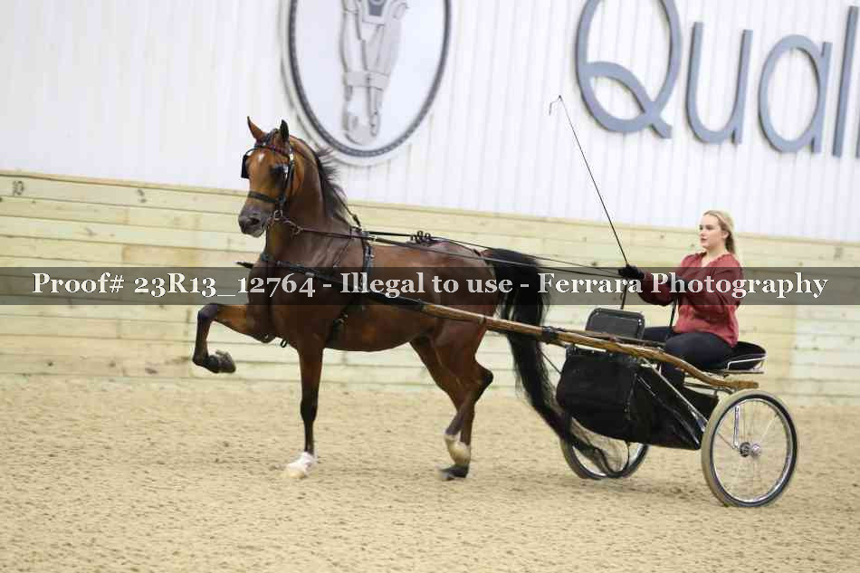 Proof Number 23R13_12764