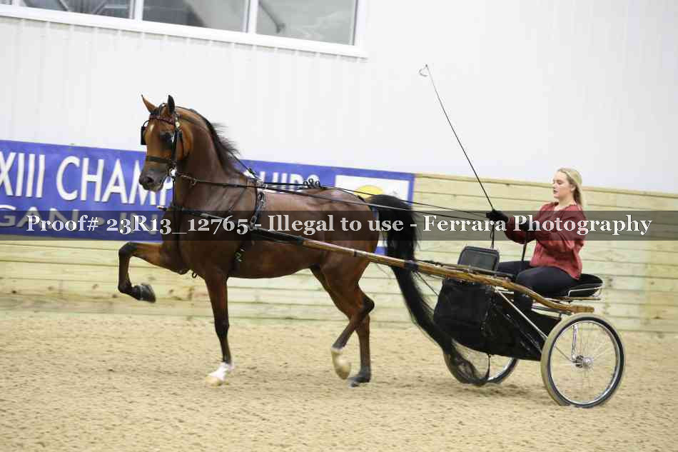 Proof Number 23R13_12765