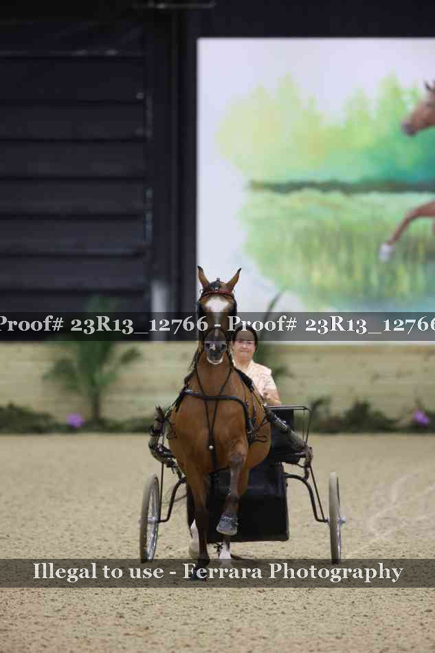 Proof Number 23R13_12766