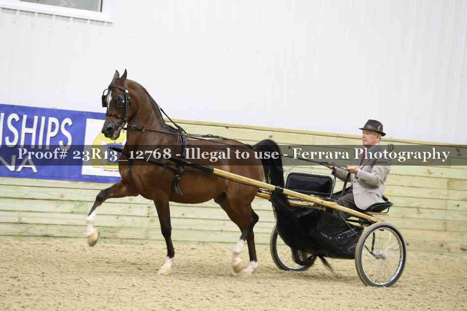 Proof Number 23R13_12768