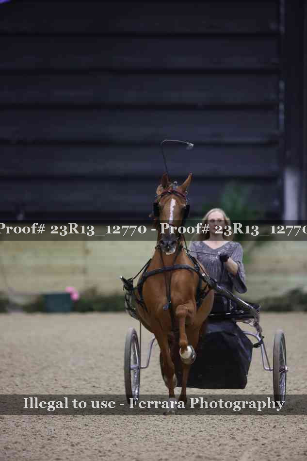 Proof Number 23R13_12770