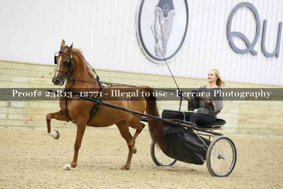 Proof Number 23R13_12771