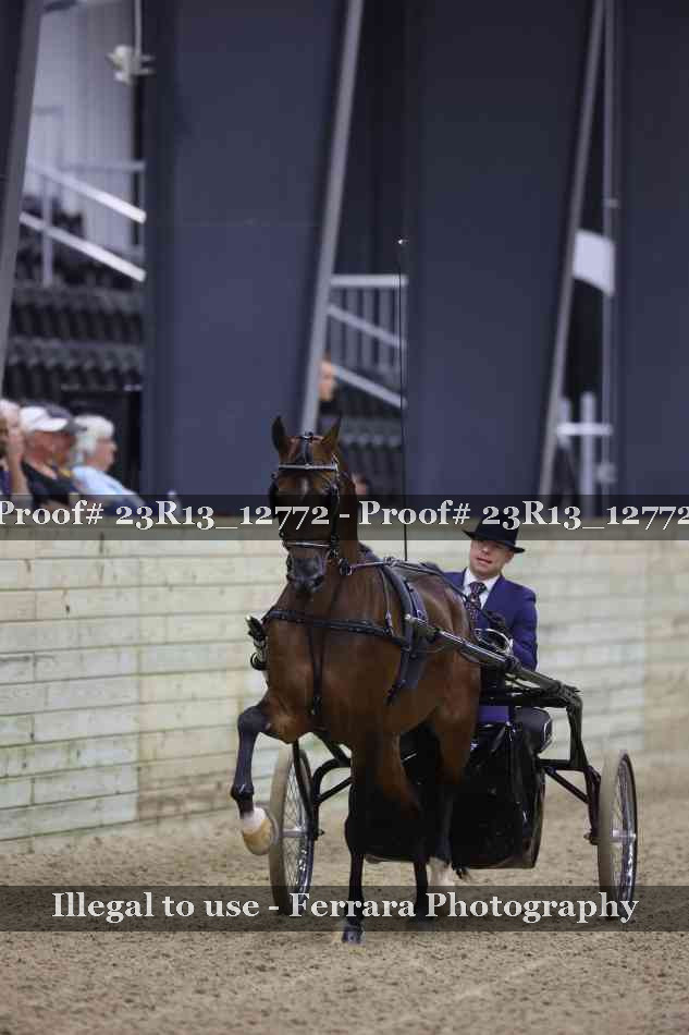 Proof Number 23R13_12772