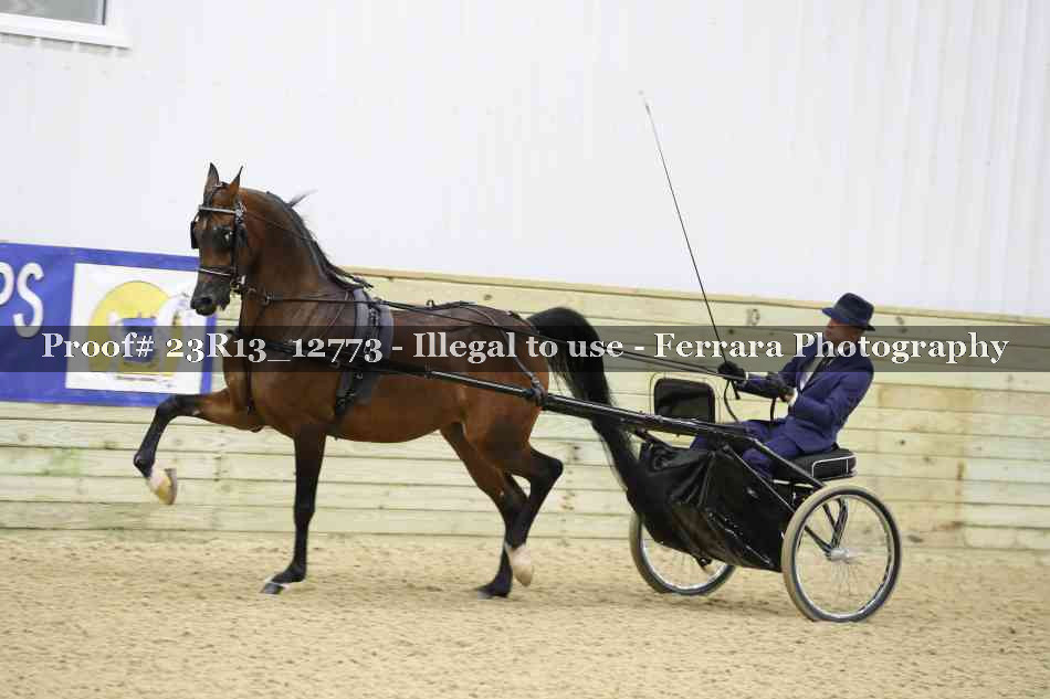Proof Number 23R13_12773