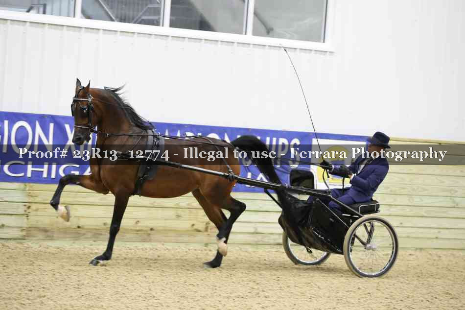 Proof Number 23R13_12774