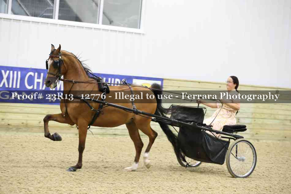 Proof Number 23R13_12776