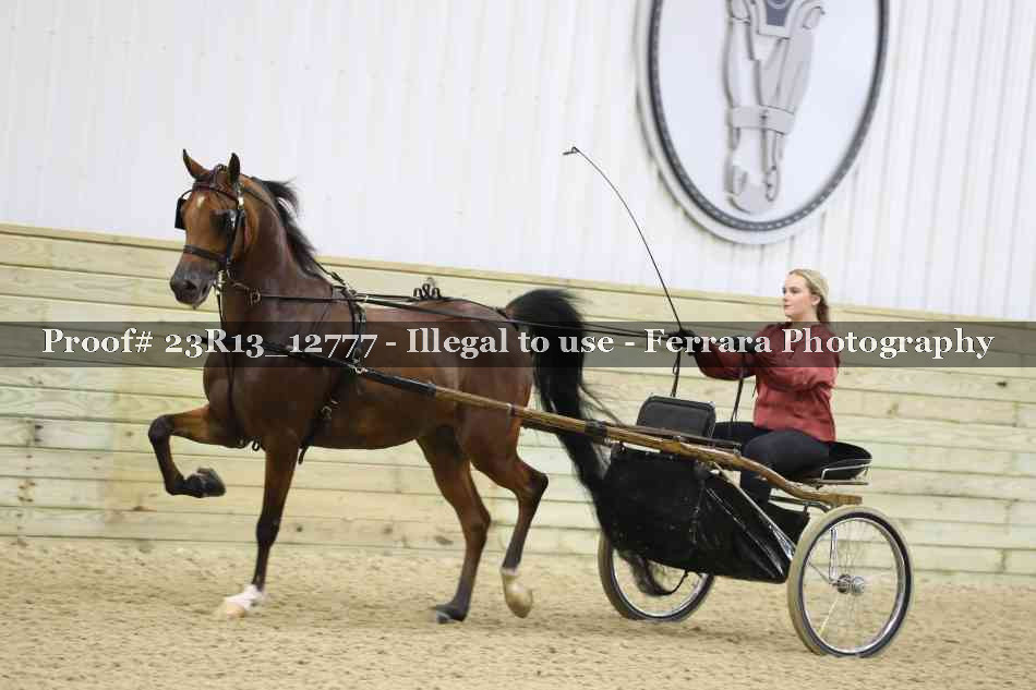 Proof Number 23R13_12777