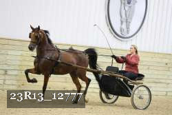 23R13_12777 thumbnail