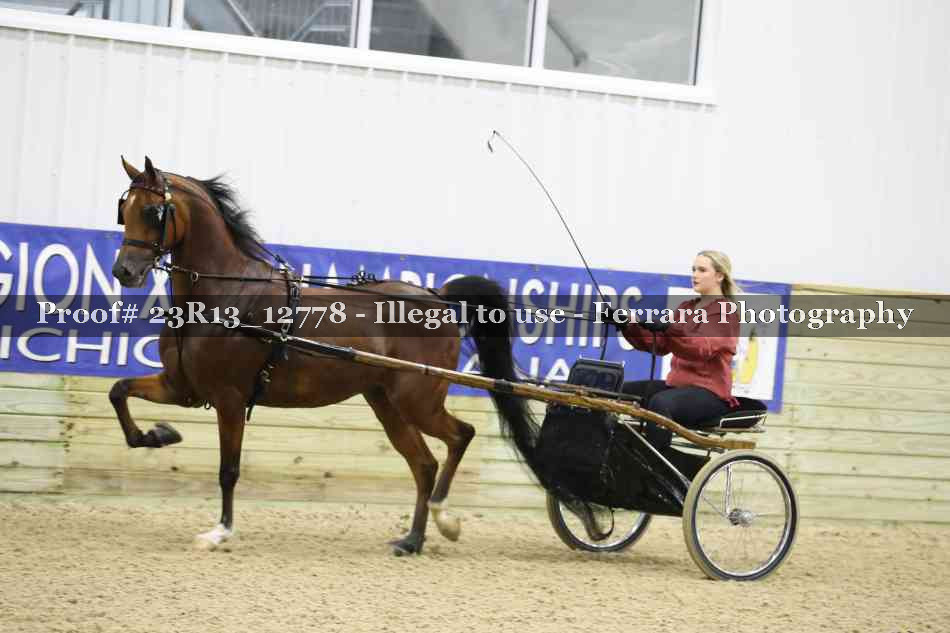 Proof Number 23R13_12778