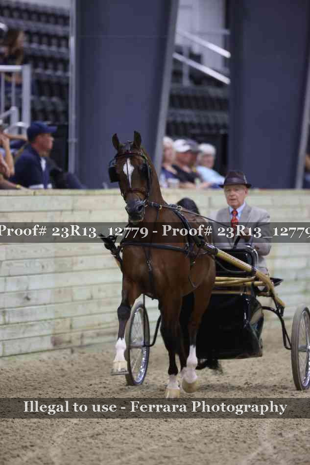 Proof Number 23R13_12779