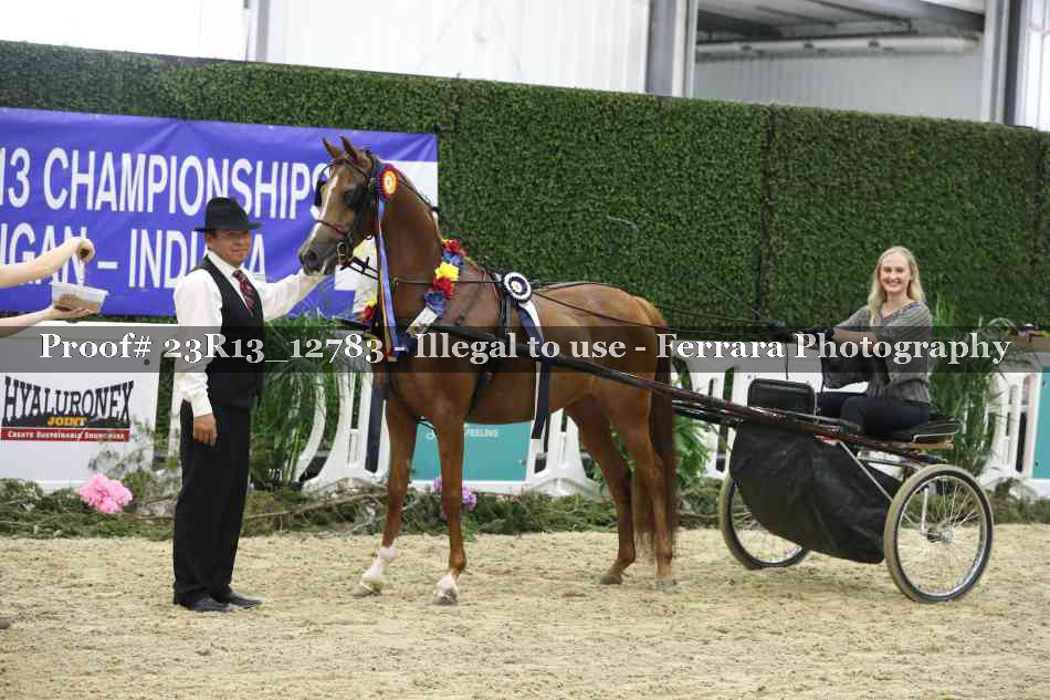 Proof Number 23R13_12783