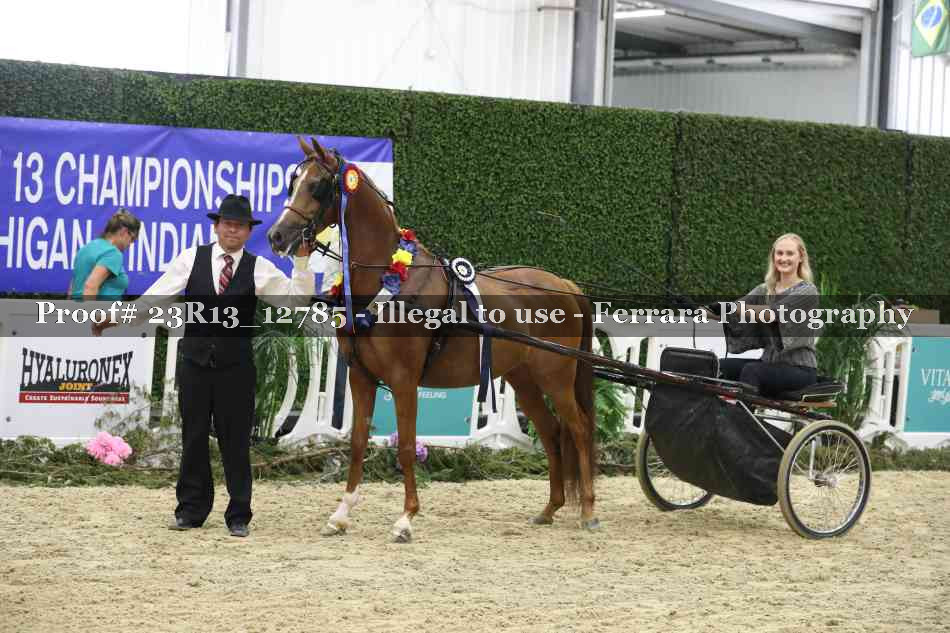 Proof Number 23R13_12785