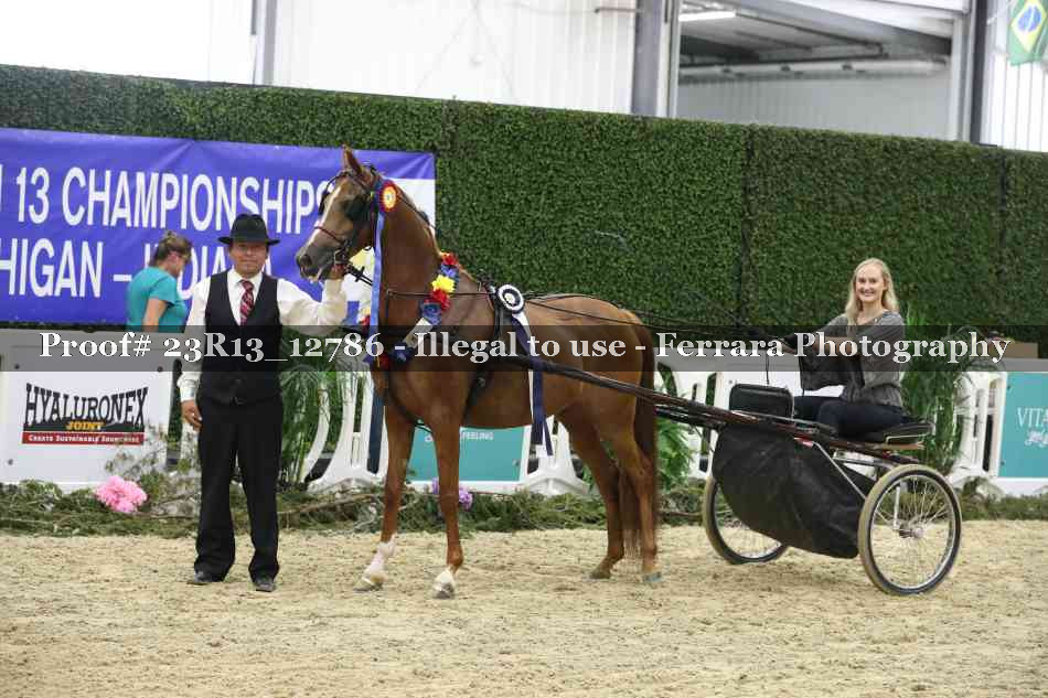 Proof Number 23R13_12786