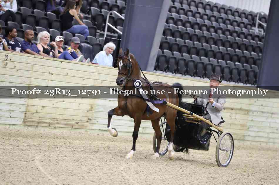 Proof Number 23R13_12791