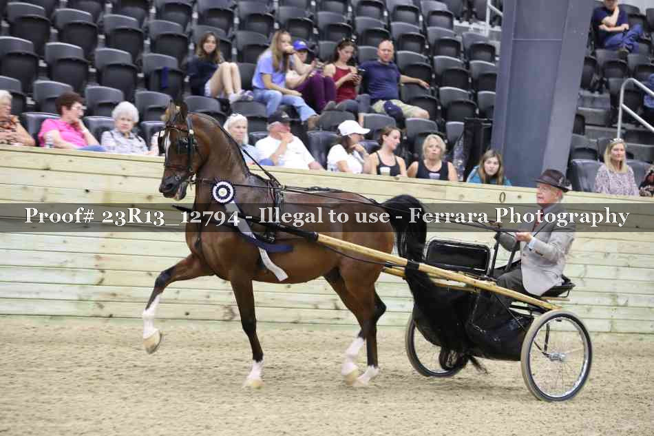Proof Number 23R13_12794