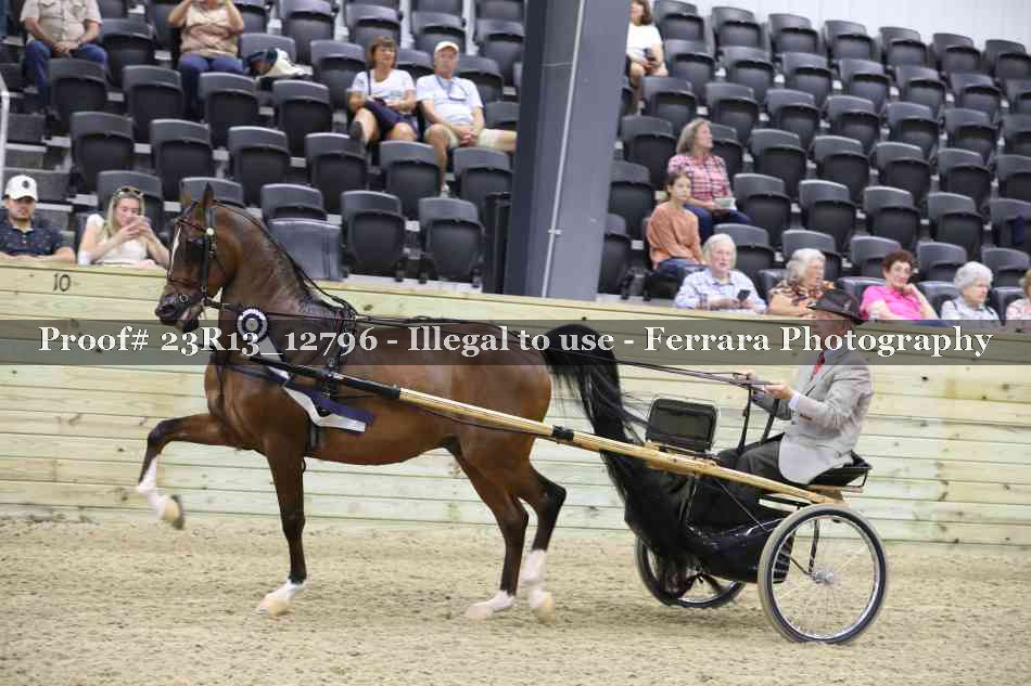 Proof Number 23R13_12796