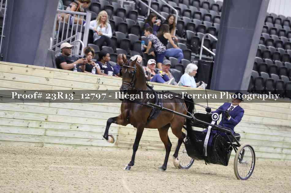 Proof Number 23R13_12797