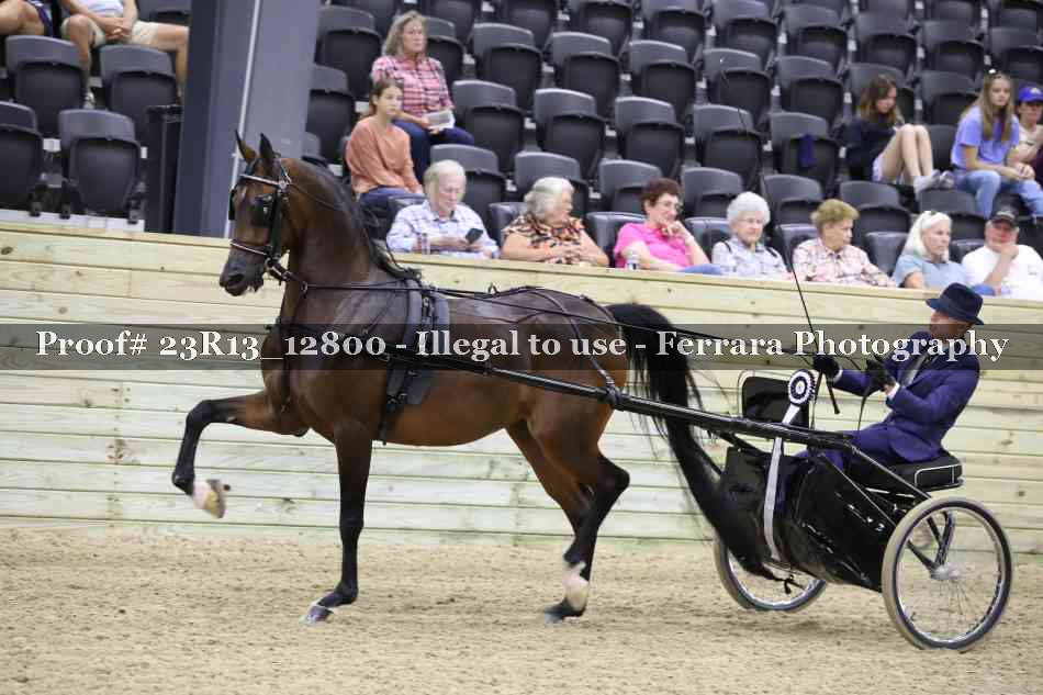 Proof Number 23R13_12800