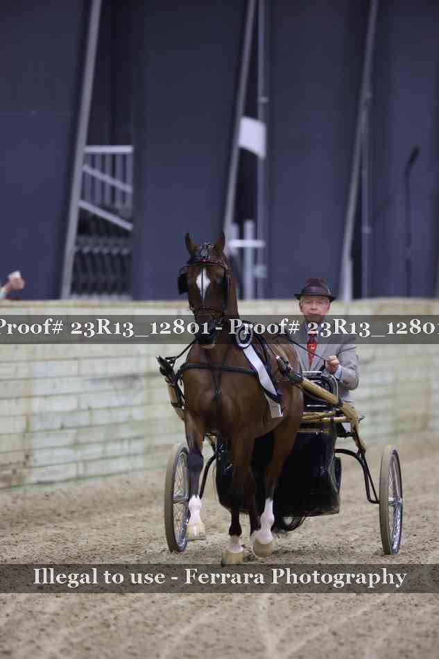 Proof Number 23R13_12801