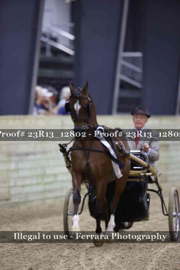Proof Number 23R13_12802