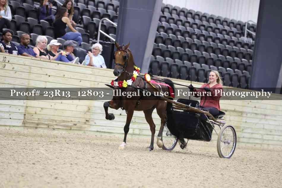 Proof Number 23R13_12803