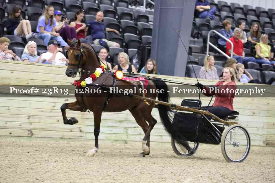 Proof Number 23R13_12806