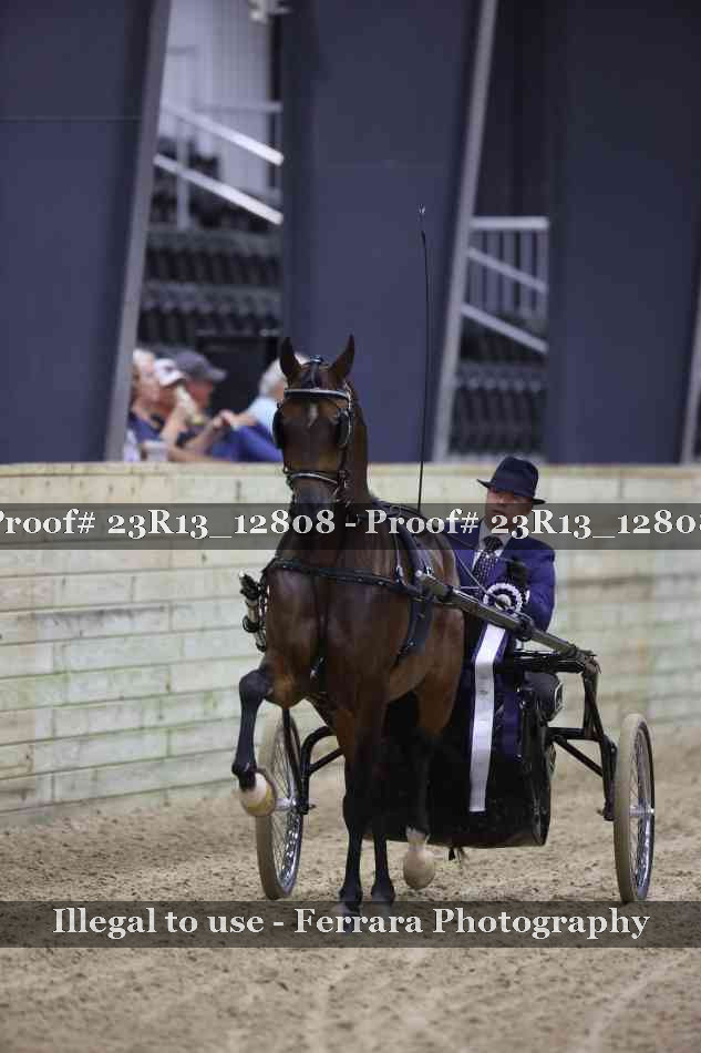 Proof Number 23R13_12808