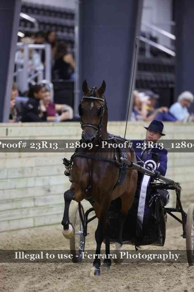 Proof Number 23R13_12809
