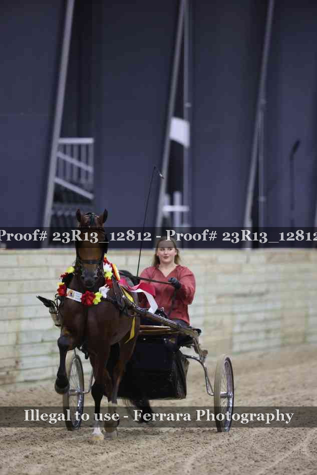 Proof Number 23R13_12812