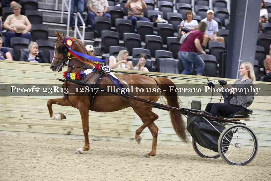 Proof Number 23R13_12817