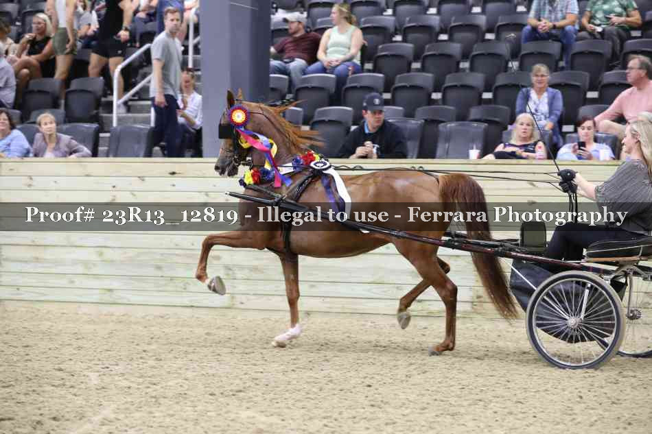 Proof Number 23R13_12819