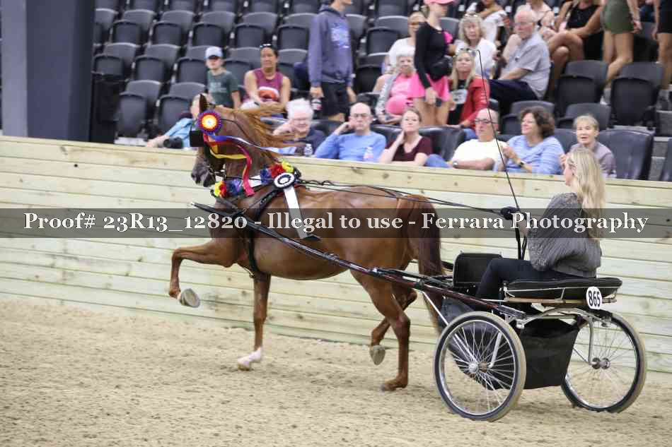 Proof Number 23R13_12820
