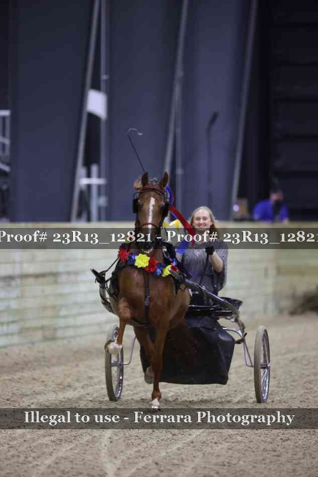 Proof Number 23R13_12821