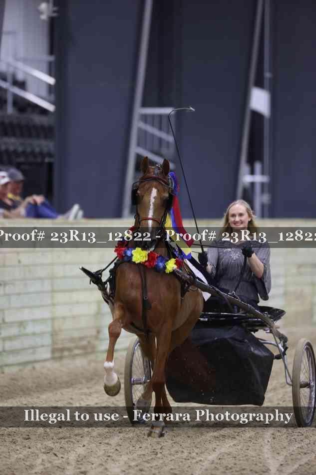 Proof Number 23R13_12822