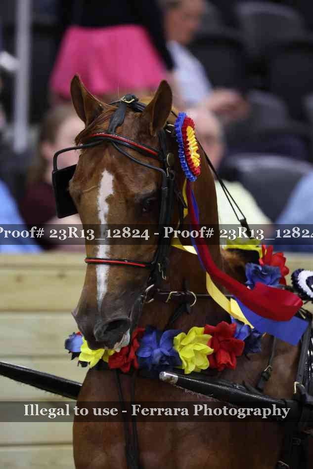 Proof Number 23R13_12824