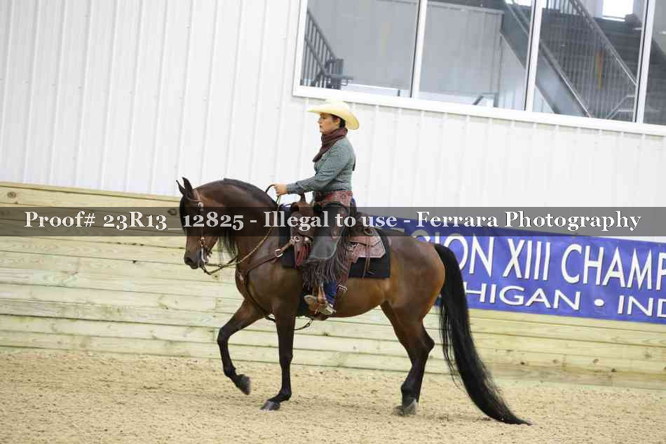 Proof Number 23R13_12825