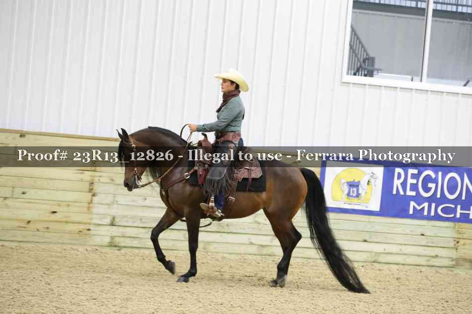 Proof Number 23R13_12826