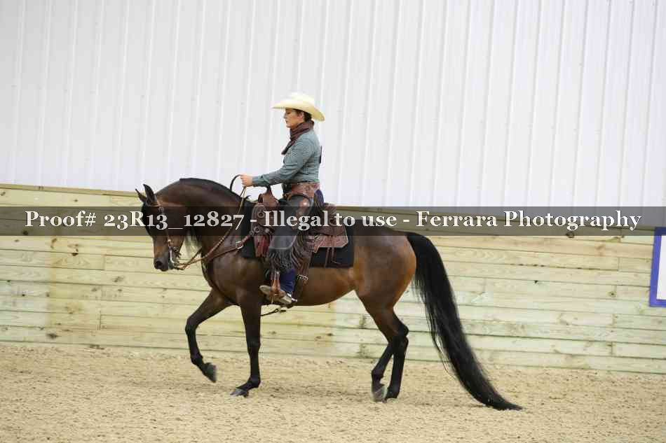 Proof Number 23R13_12827