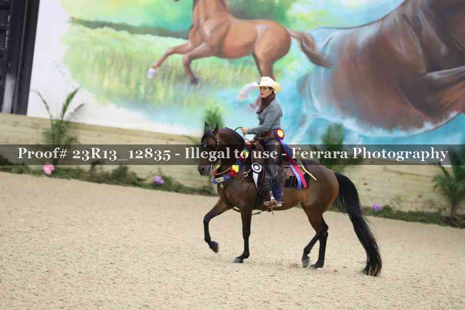 Proof Number 23R13_12835