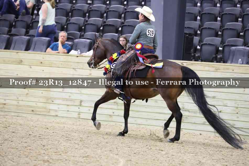 Proof Number 23R13_12847