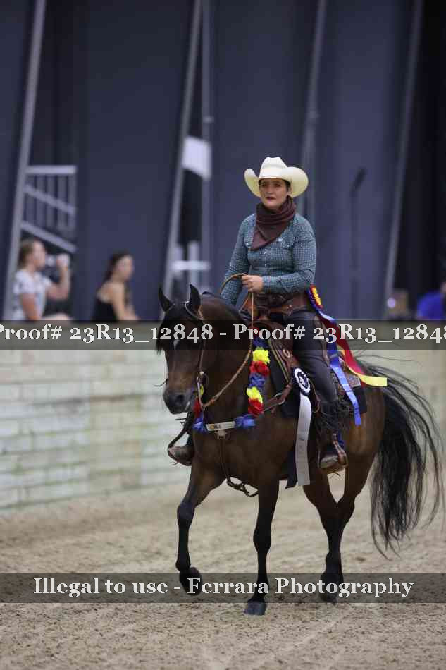 Proof Number 23R13_12848