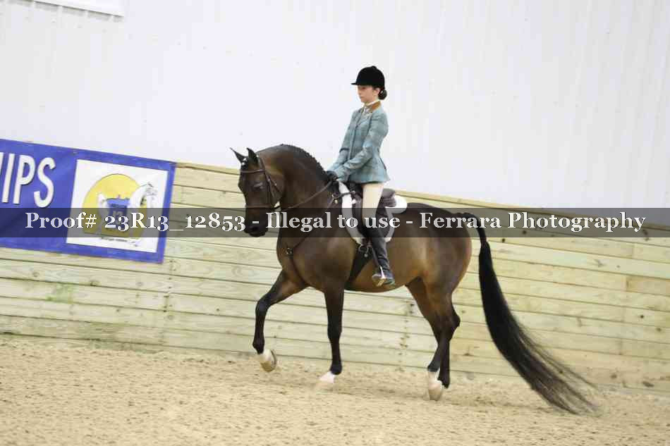 Proof Number 23R13_12853