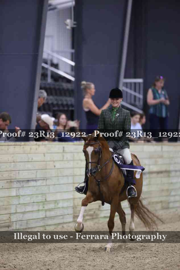 Proof Number 23R13_12922