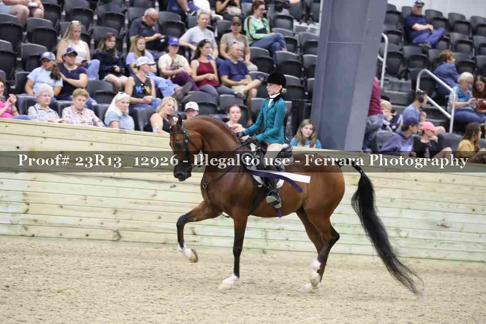 Proof Number 23R13_12926