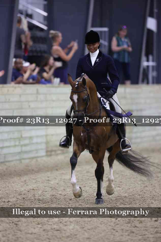 Proof Number 23R13_12927